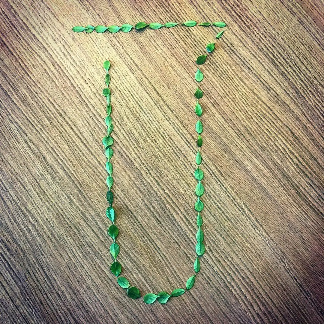 Leaf Chemí — the tube emblem laid out in leaves