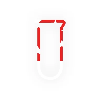Singapore Chemí — Singapore