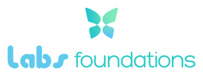 Labs Foundations