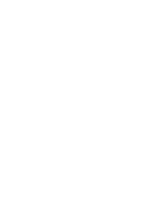 Labs Payments